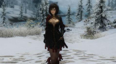 上古卷轴5：天际MOD 【UN7B 服装Mod 修改】Adler Armor UN7B HDT by Hugh