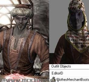 上古卷轴5：重置版MOD 奶奶Alik Neadgear Replacher