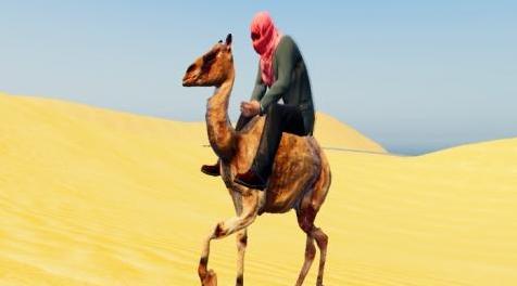 侠盗猎车手5「GTA5」Mod: Camel Mods
