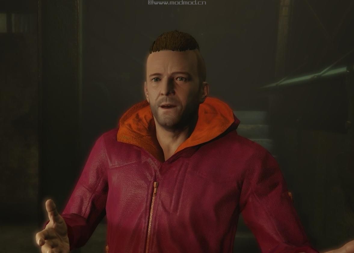 侠盗猎车手5「GTA5」Mod: Leather Hoodie For Michael