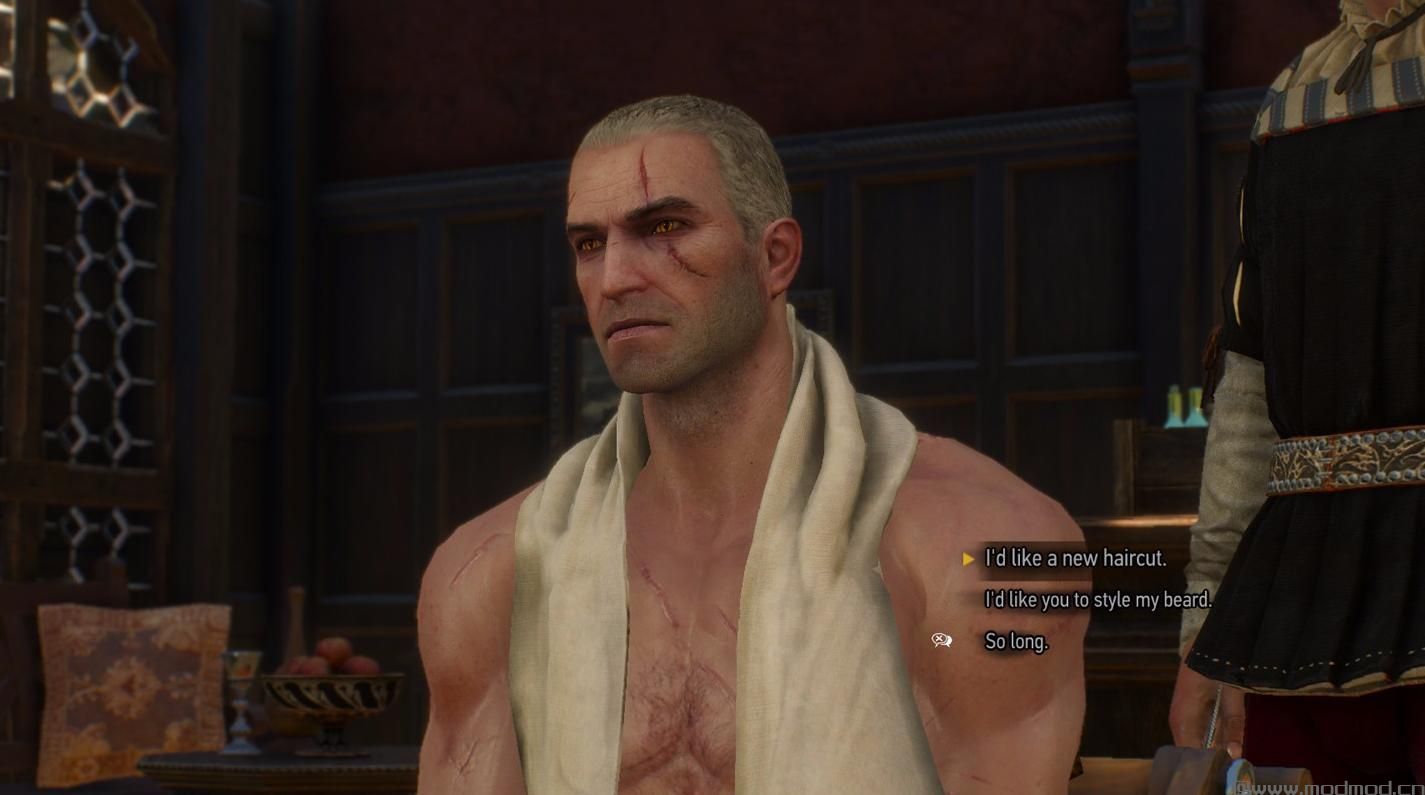 巫师3：狂猎MOD 短发Geralt