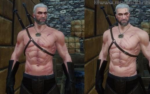 巫师3：狂猎MOD 只是苍白的Geralt