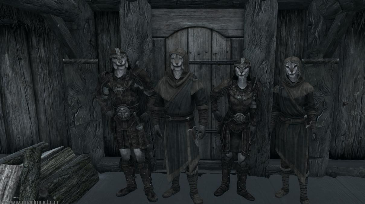 Alternate Followers