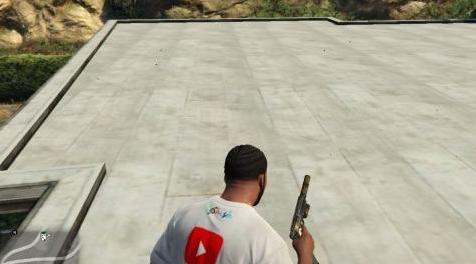 侠盗猎车手5「GTA5」Mod: Maglietta TgShish