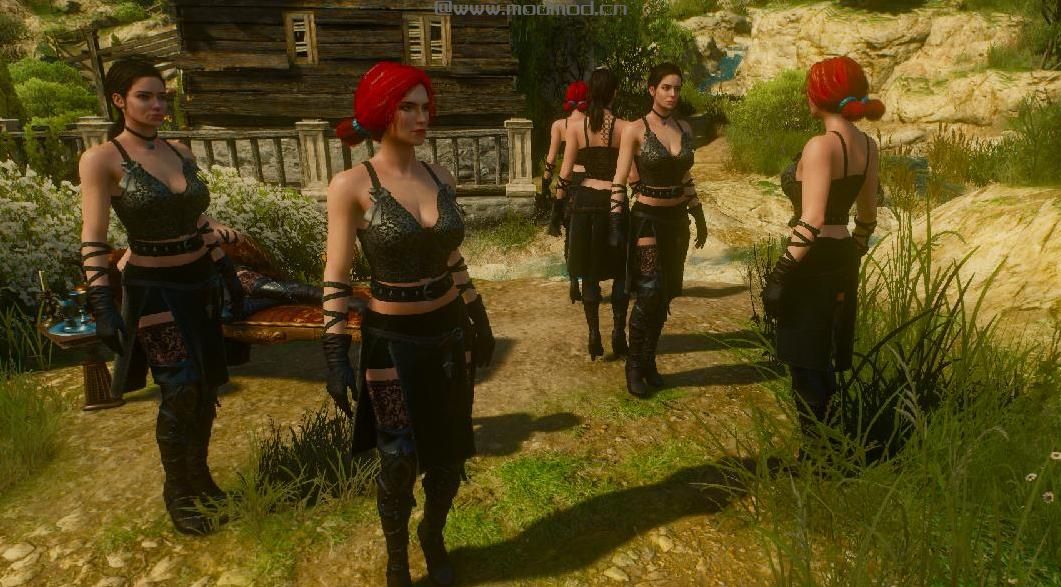 巫师3：狂猎MOD Yennefer衣服包