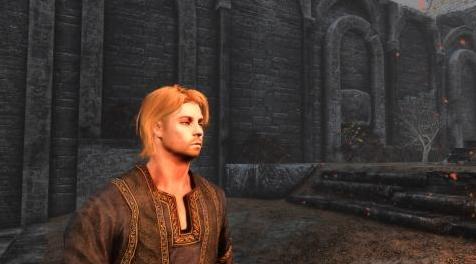 上古卷轴5：重置版MOD 热男性随从 -  Erik Steel-Heart