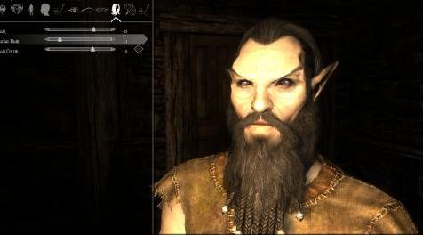 上古卷轴5：重置版MOD Dwemer Beards SE