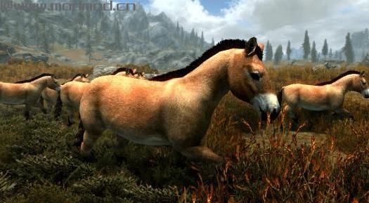 上古卷轴5：重置版MOD 野原牛与野马MOD