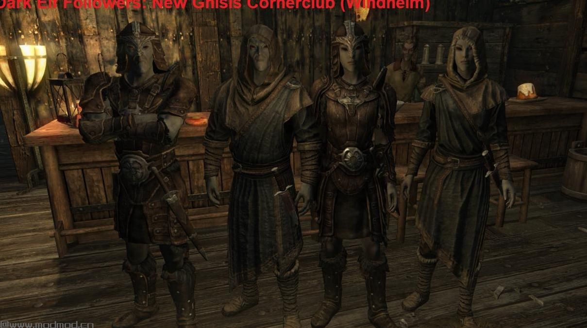 上古卷轴5：重置版MOD Alternate Followers