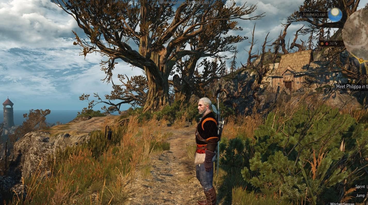 巫师3：狂猎MOD 失落的世界
