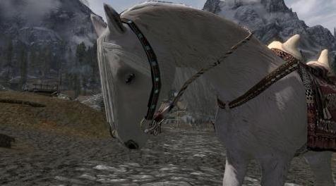 上古卷轴5：重置版MOD Tasheni&rsquo;s Frost SSE