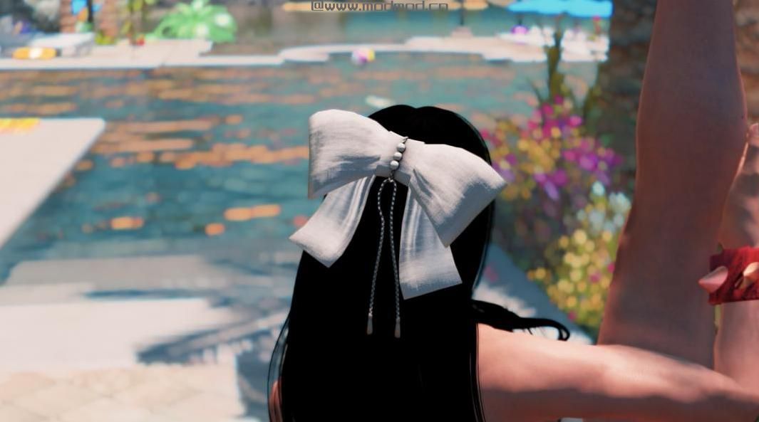 上古卷轴5：重置版MOD Wa Ribbon - 支持SMP