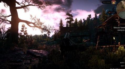巫师3：狂猎MOD 完美的视觉