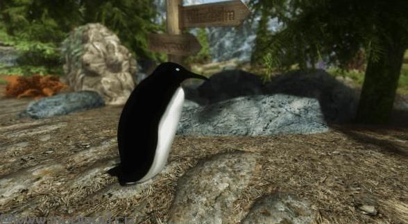 上古卷轴5：天际MOD 温斯顿企鹅随从&野生企鹅