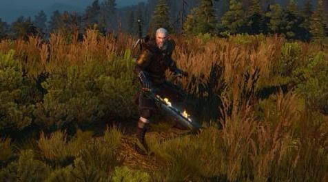 巫师3：狂猎MOD 1.31巫师--新的独特的武器