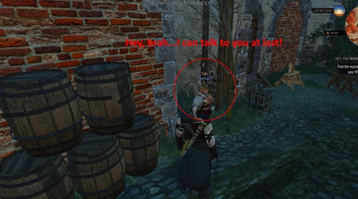 巫师3：狂猎MOD Wanna Look At My Stuff任务修复