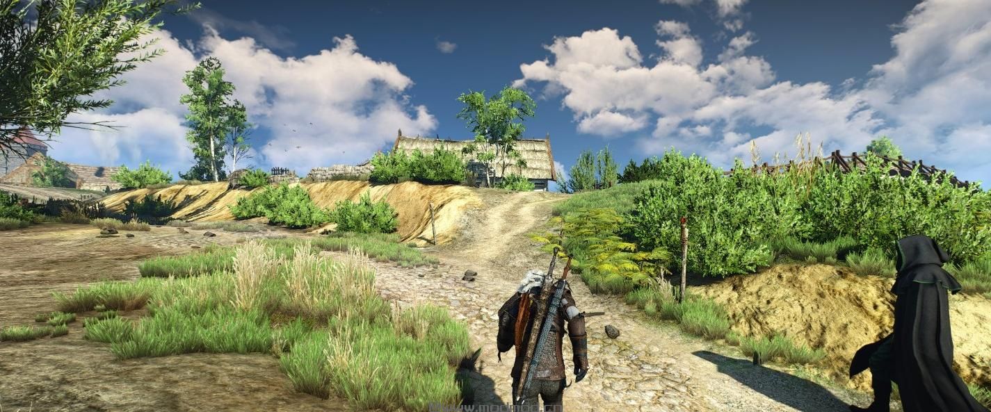 巫师3：狂猎MOD 项目E3 BETA