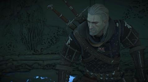 巫师3：狂猎MOD 高质量材质的猫套