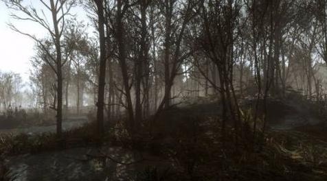 巫师3：狂猎MOD E3视觉效果 V3 STLM 2.1