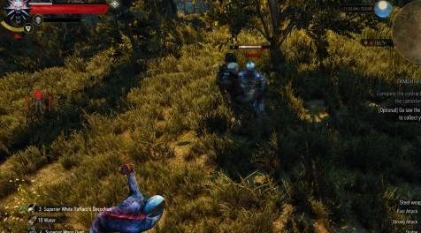 巫师3：狂猎MOD 远距离攻击