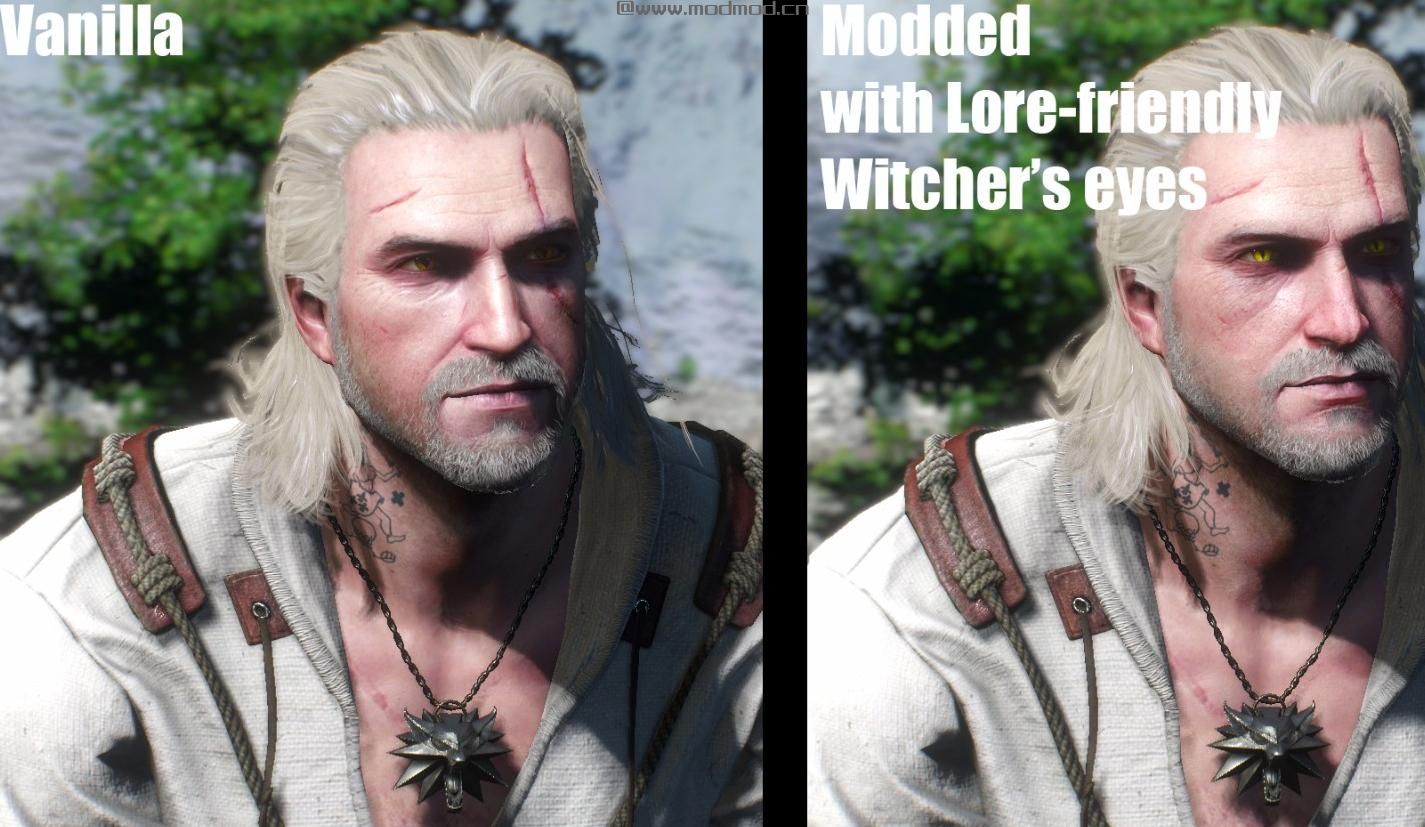 巫师3：狂猎MOD 更新——Geralt重新处理——NRAI 0.2
