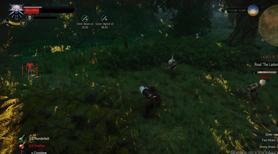巫师3：狂猎MOD 战斗预设