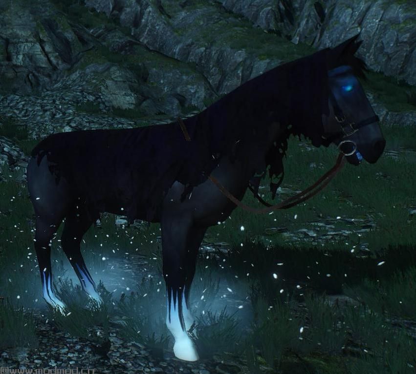 巫师3：狂猎MOD Fera’s马皮肤