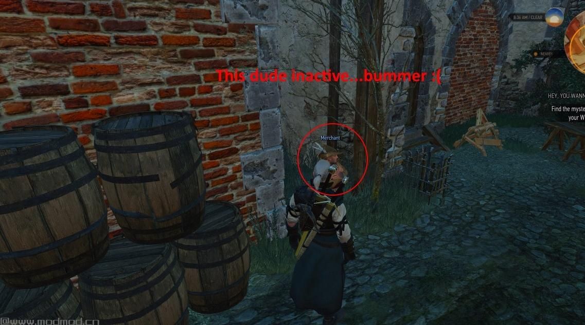 巫师3：狂猎MOD Wanna Look At My Stuff任务修复