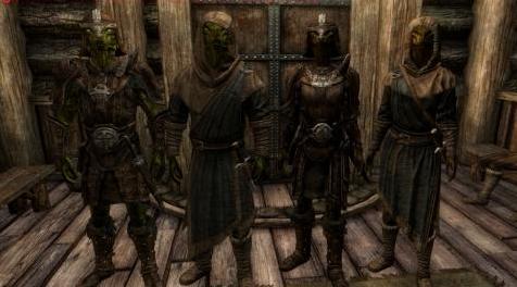 上古卷轴5：重置版MOD Alternate Followers