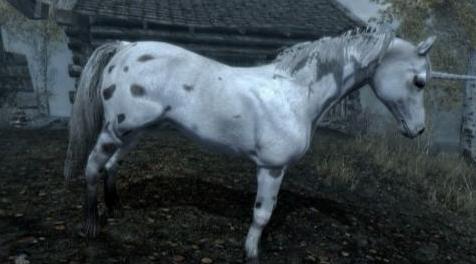 上古卷轴5：重置版MOD 海尔辛坐骑独角兽MOD