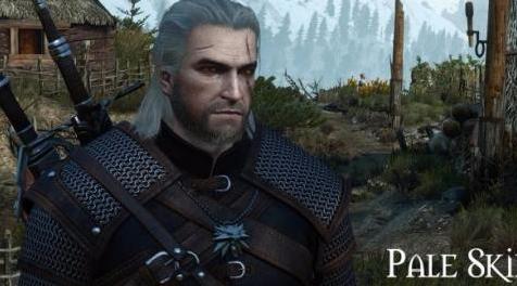 巫师3：狂猎MOD 苍白的脸Geralt