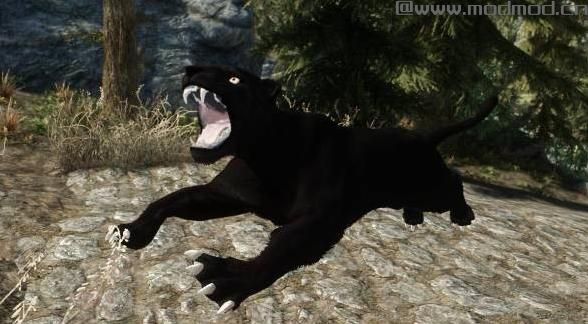 上古卷轴5：重置版MOD 山地狮子和豹子MOD