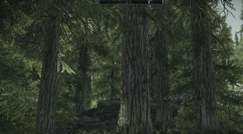 上古卷轴5：重置版MOD Haze ENB