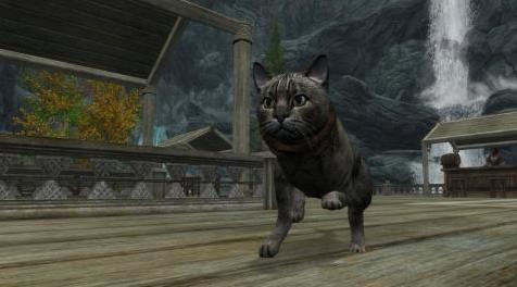 上古卷轴5：重置版MOD Elvis The Pussycat Bandit Companion