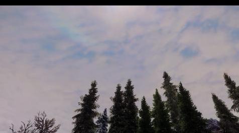 上古卷轴5：重置版MOD 纸世界地图非正式修复