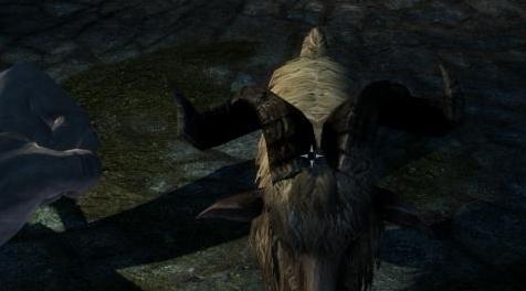 上古卷轴5：重置版MOD Skeevers进入山羊