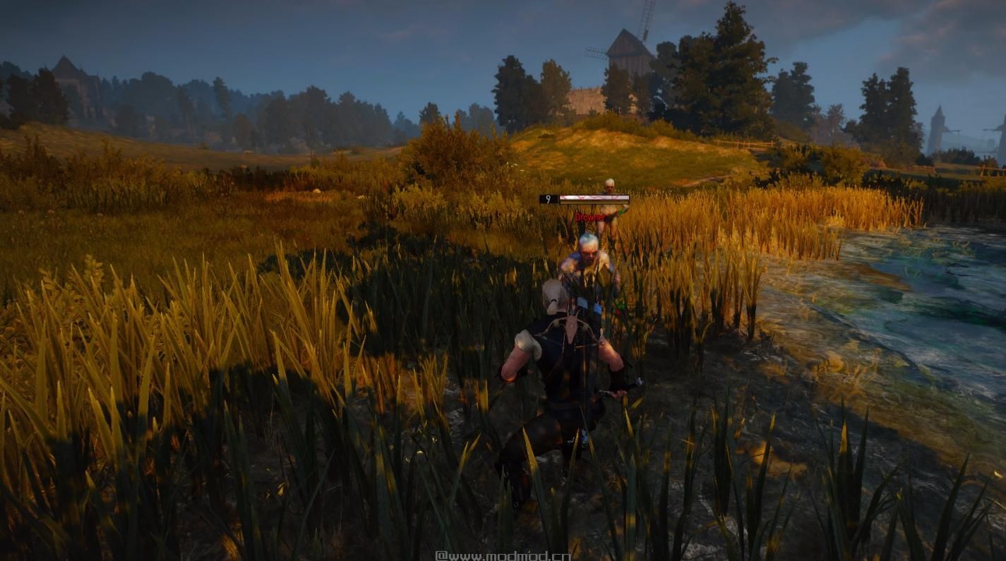 巫师3：狂猎MOD RGT照相机MOD