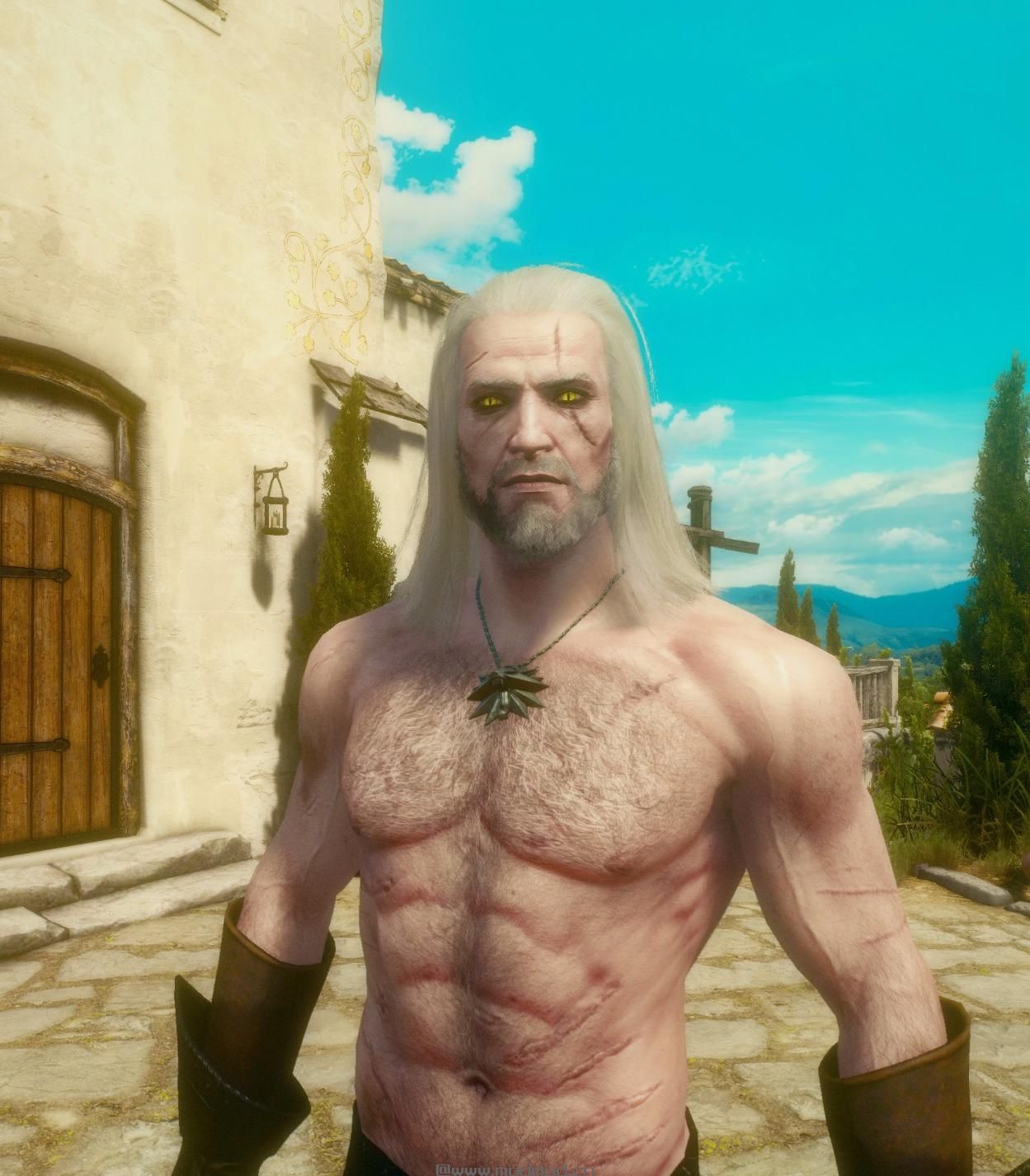 巫师3：狂猎MOD Geralt体毛