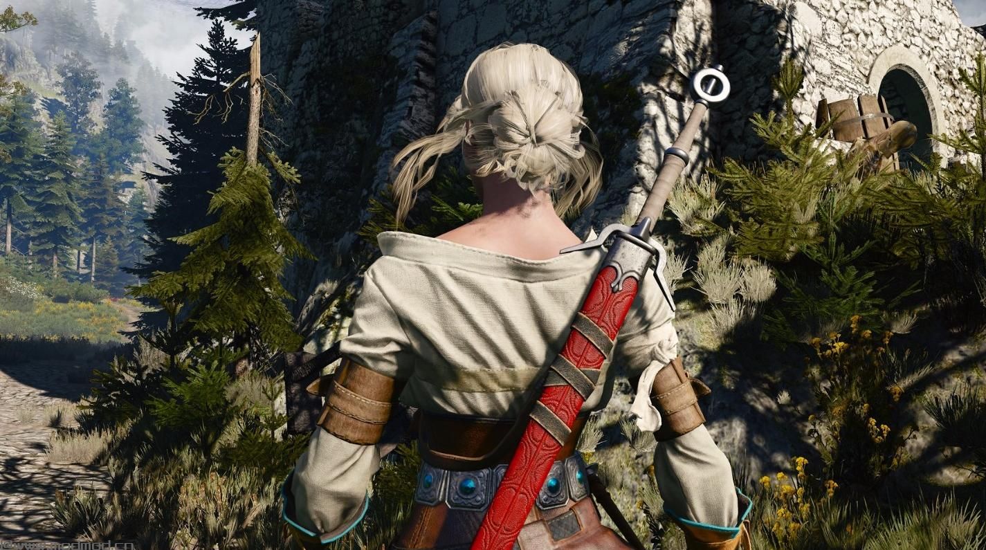 巫师3：狂猎MOD Ciri E3上的剑鞘