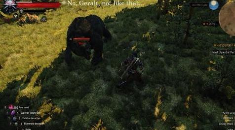 巫师3：狂猎MOD 自由战斗