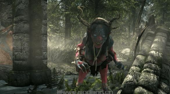 上古卷轴5：重置版MOD 沼泽巫婆MOD