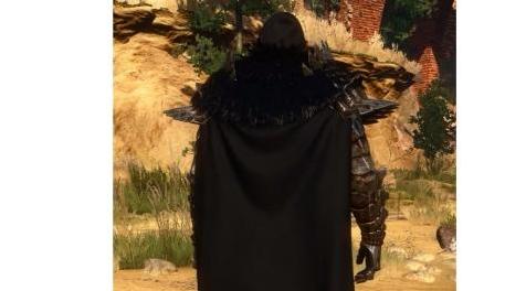巫师3：狂猎MOD 黑色的斗篷