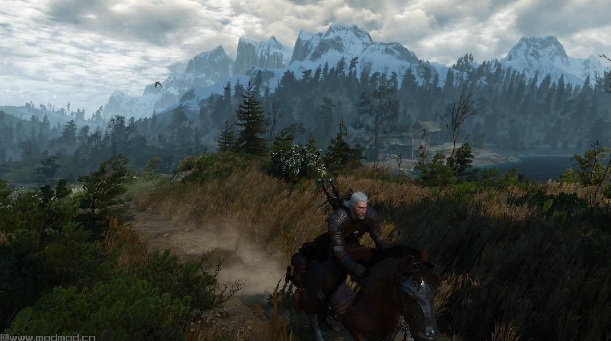 巫师3：狂猎MOD 变化马的奔跑效果