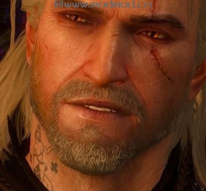 巫师3：狂猎MOD 被删除的纹身
