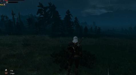 巫师3：狂猎MOD 删除低血量时的画面效果