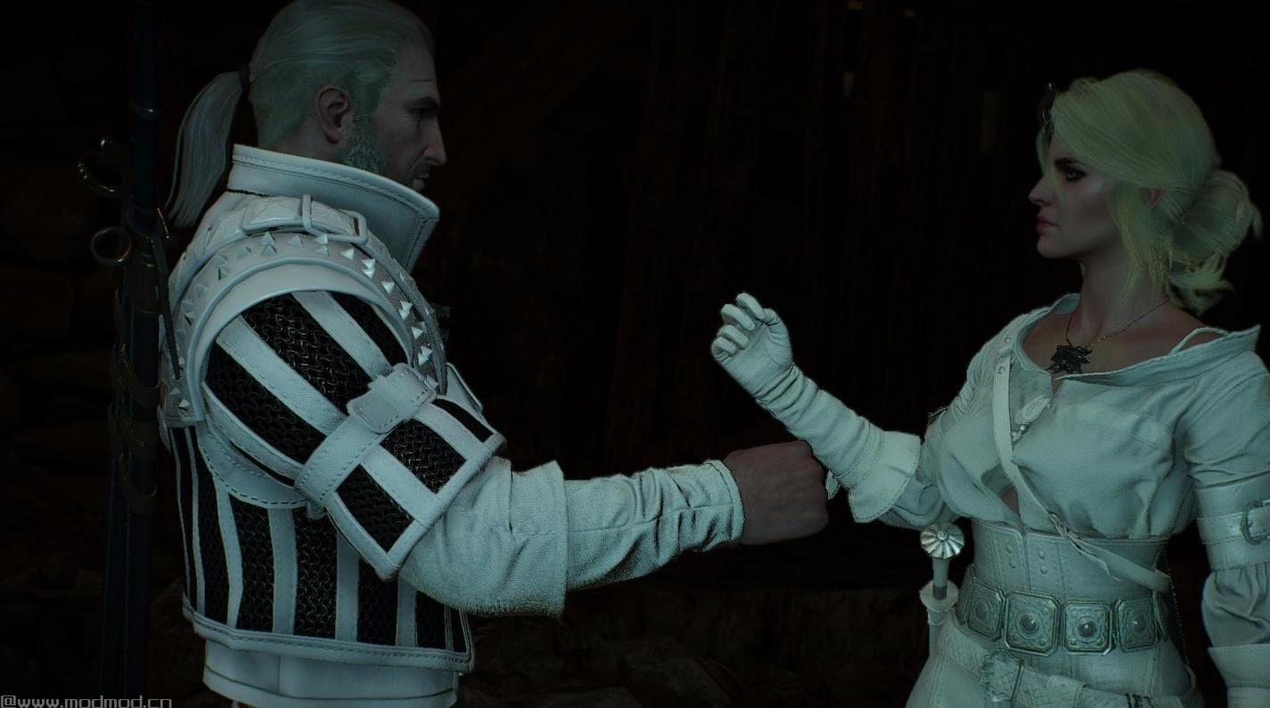 巫师3：狂猎MOD Ciri重新着色服装