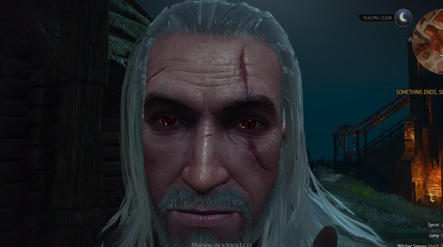 巫师3：狂猎MOD 美瞳--杰洛特