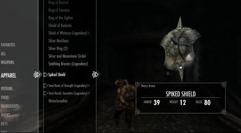 上古卷轴5：重置版MOD WITCHER Armor and Shields SSE端口