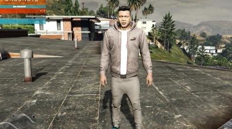 侠盗猎车手5「GTA5」Mod: Puma Hoodies