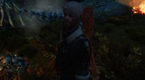 上古卷轴5：天际MOD Steam上的巫师3猫套装-The Witcher 3 Cat Armor」